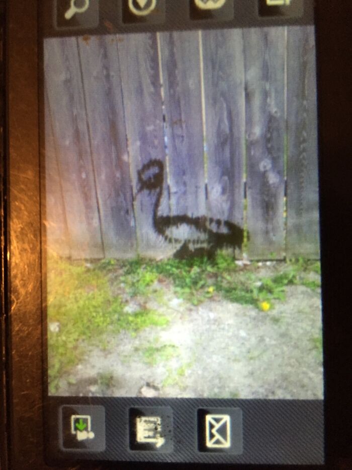 While Playing Basketball, My 3 Year Old Son, Gabe, Peed A Duck