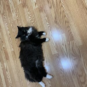 patriciayousif avatar