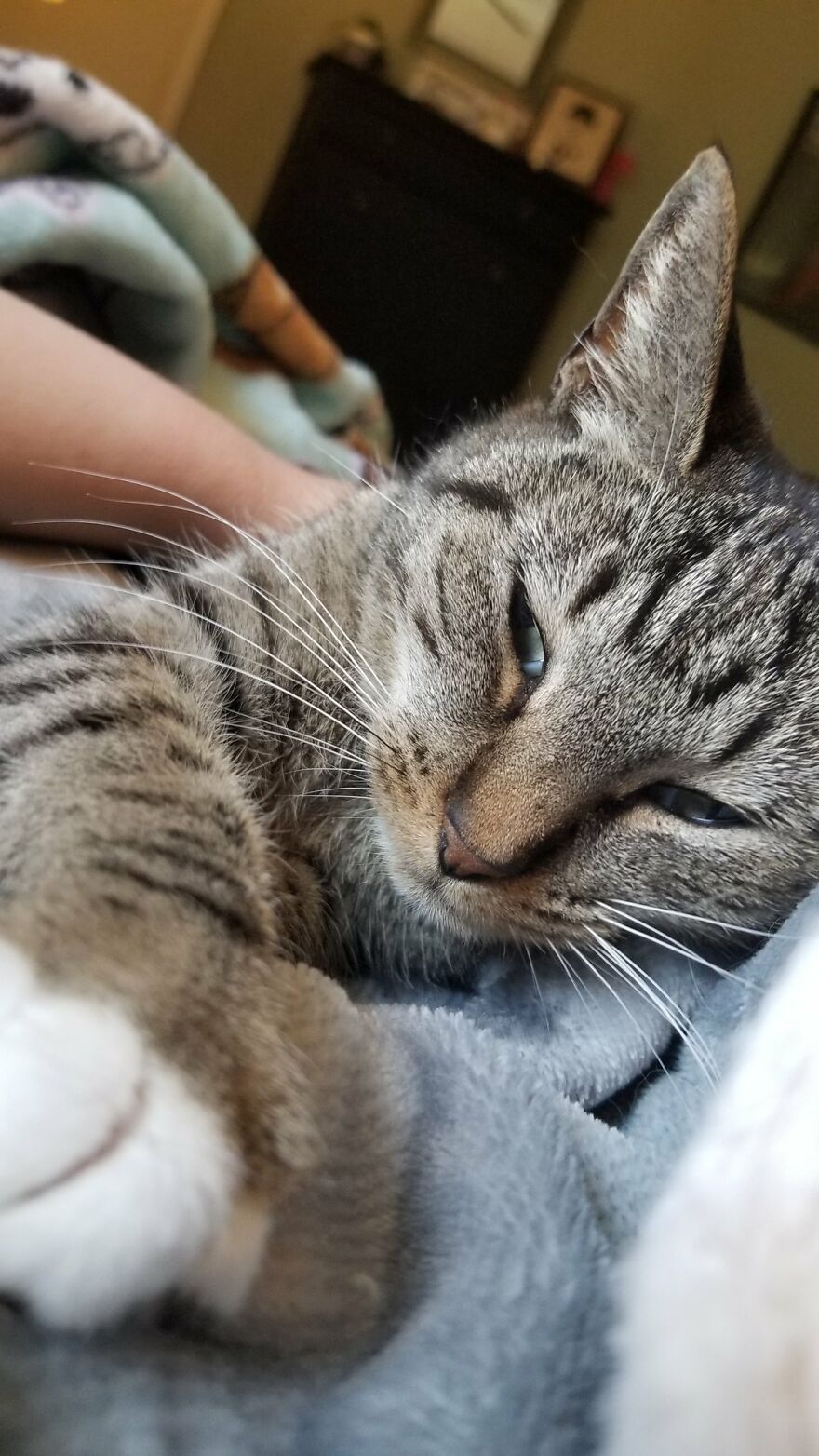 Dad Makes A Cat Bed For His Daughter's Feline From An Old TV, And It Hasn't Gone Unnoticed On The Socials Dad Makes A Cat Bed For His Daughter's Feline From An Old TV, And It Hasn't Gone Unnoticed On The Socials