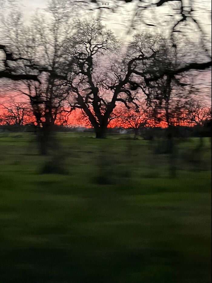 Llano Rd Santa Rosa, California…on The Ride Home.