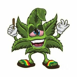 jessicaarmstrong_2 avatar