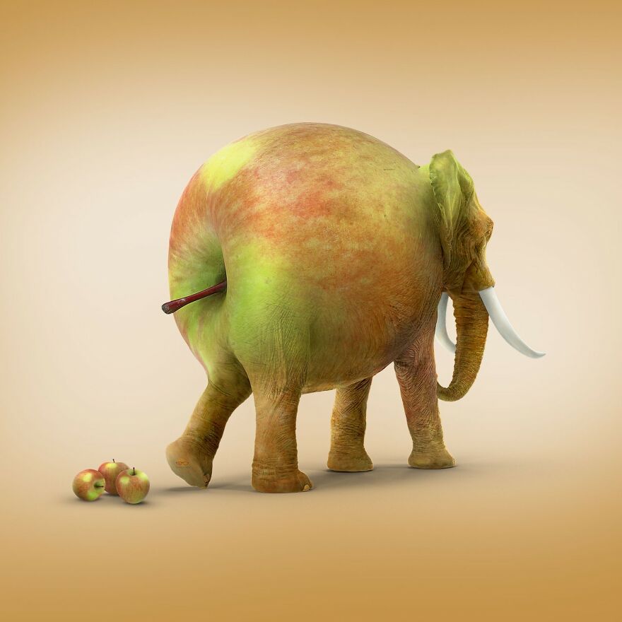 Animals Beyond Fairytale: I Make Bizarre Image Manipulations (21 Pics)