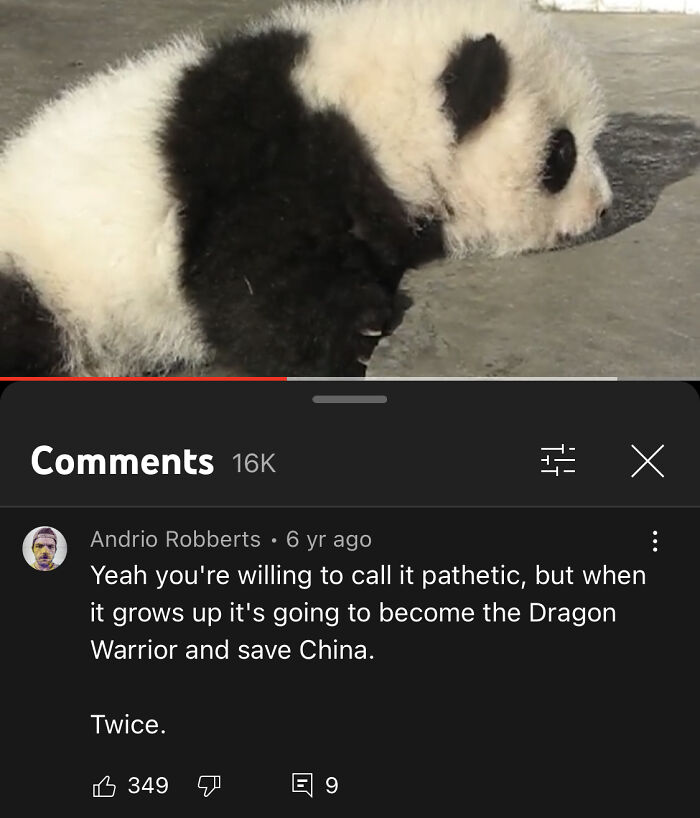 The Most Pathetic Baby Panda Ever