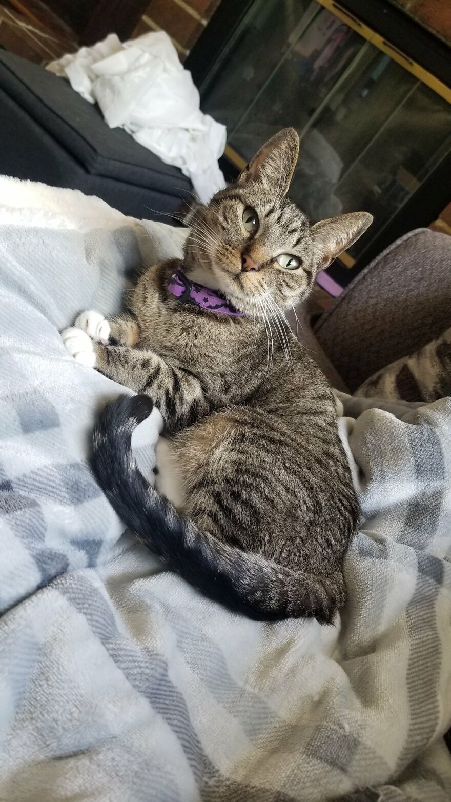 Dad Makes A Cat Bed For His Daughter's Feline From An Old TV, And It Hasn't Gone Unnoticed On The Socials Dad Makes A Cat Bed For His Daughter's Feline From An Old TV, And It Hasn't Gone Unnoticed On The Socials