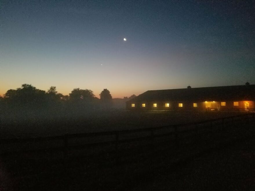 Feeding Horses On A Competition Morning