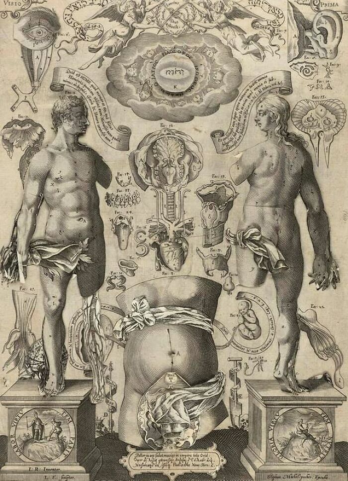 Ohann Remmelin. Three Visions, Catoptrum Microcosmicum (Mirror Of The Microcosm), 1667