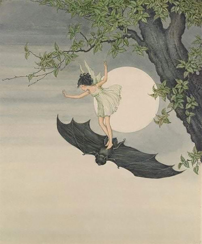 Ida Rentoul : The Fairy On A Bat