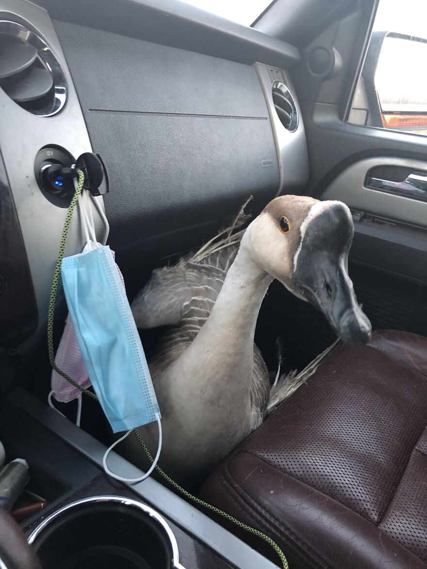 Just A Typical Hectic Day