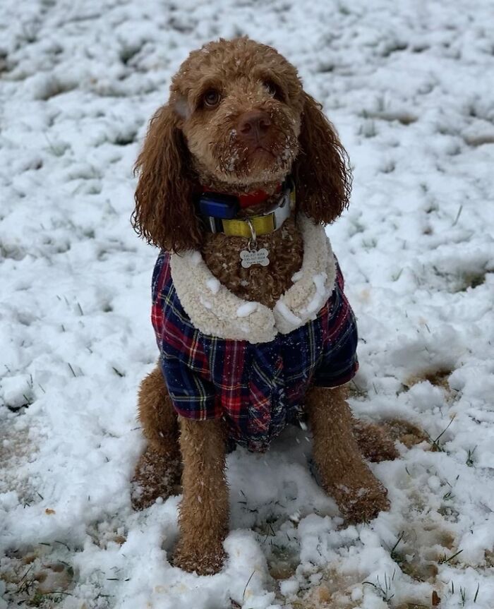 Just Wanted To Make You Smile. Here’s My Best Friend!