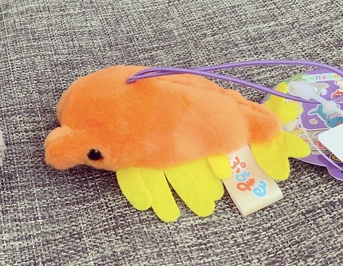 This tiny anomalocaris that I can put on my backpack is a weird prehistoric creature that I like