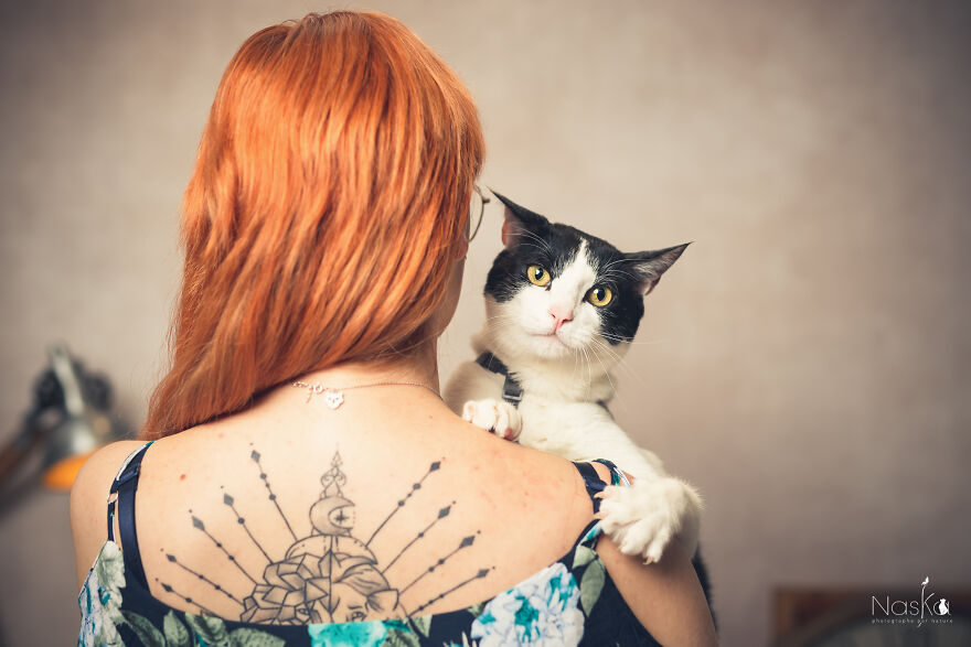 I Put Our Friends Cats In The Spotlight I Put Our Friends Cats In The Spotlight