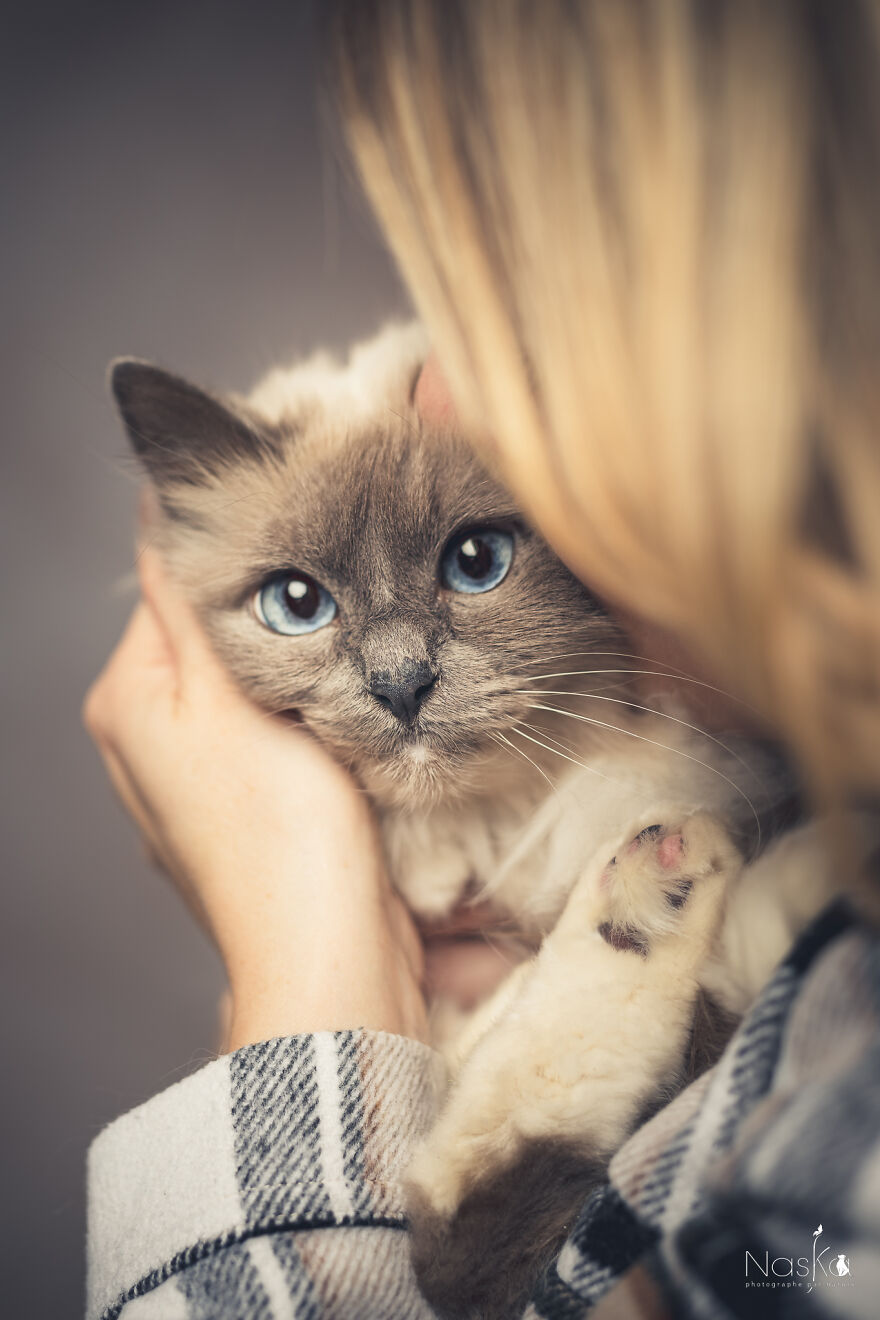 I Put Our Friends Cats In The Spotlight I Put Our Friends Cats In The Spotlight