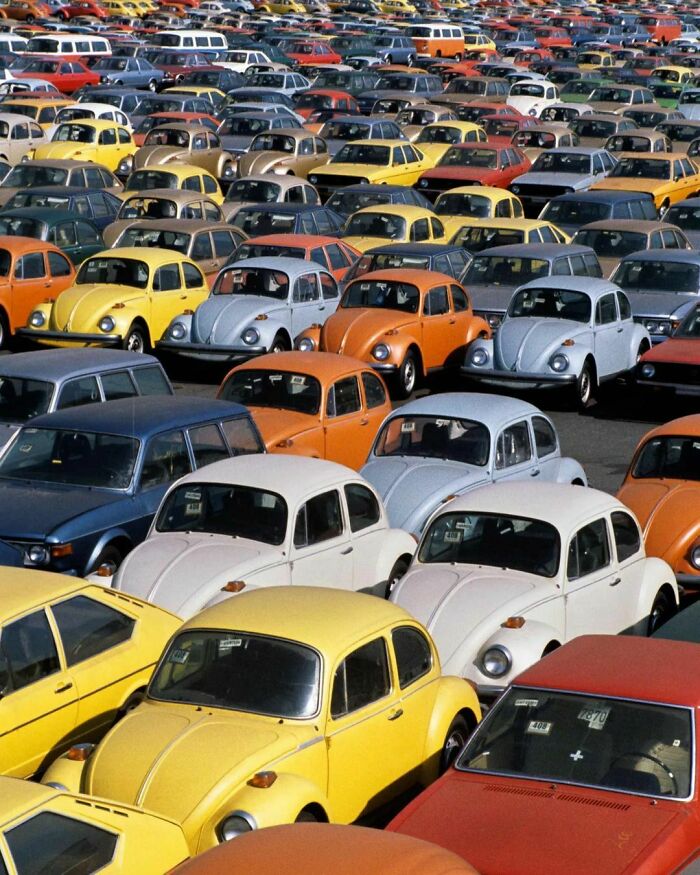VW Beetles On A New York Port Authority Parking Lot, 1973 (Photo By Jp Laffont)