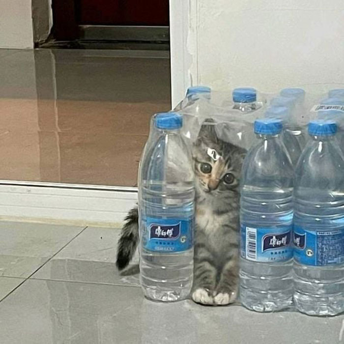 Don't Forget To Drink Water
