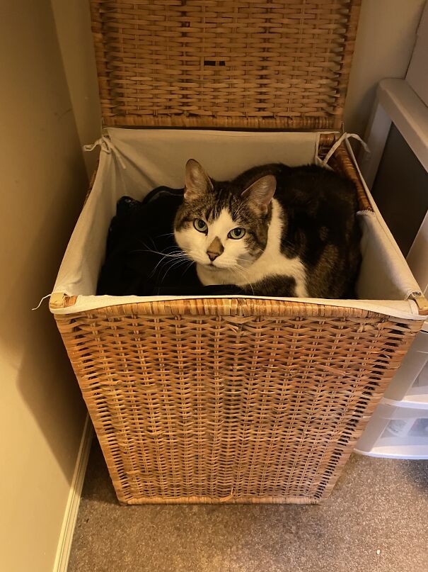 This Piece Of Laundry. Is It Dry Clean Only?