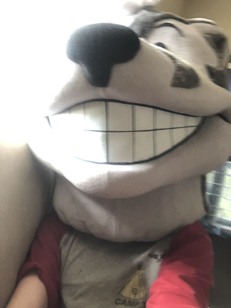 Wearing Just The Head Of A Badger Mascot Costume