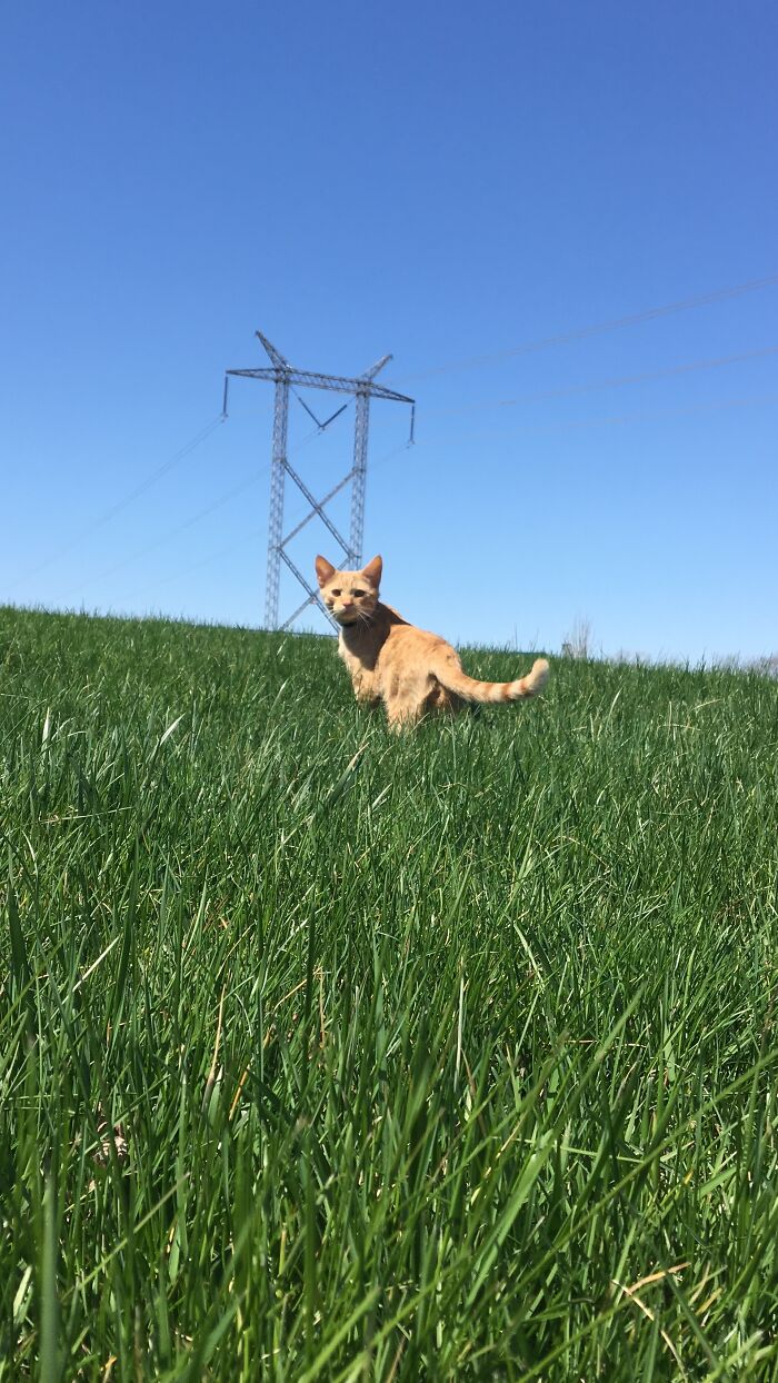 Alfie Is Exploring The Outdoors For His First Summer In His Life!!!