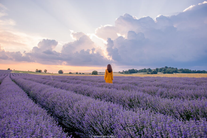 A Lavender Fairytale: 7 Photos By Me