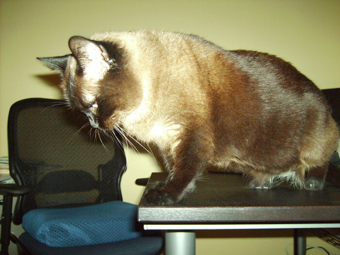 Did I Knock Something Off Your Desk 😉