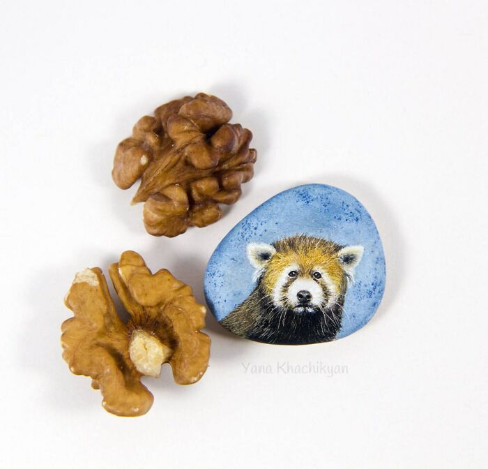 Everyone Is Wondering What Tools Do I Use To Paint My Miniatures!