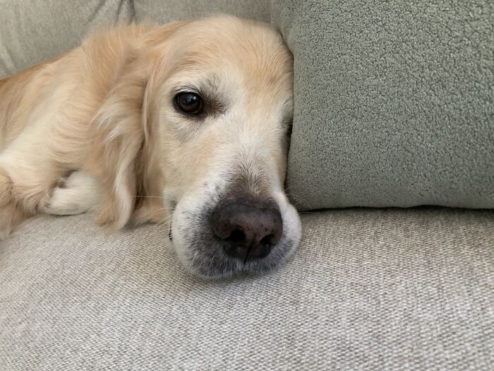 Sam Being Adorably Happ!