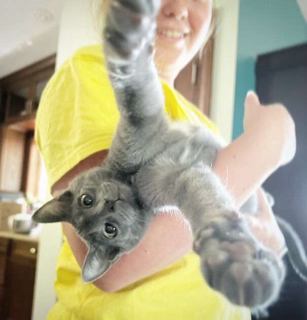 Myself, But Since I Don’t Want To Post A Pic, Here Is Evan, The Runner Up