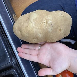 deppolderannie avatar