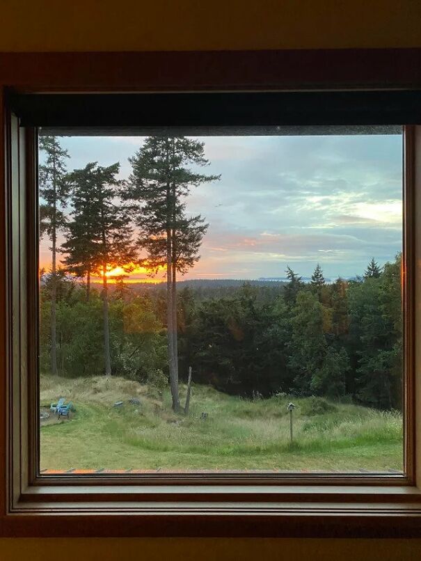 This Window At My Friend’s House Looks Like A Painting