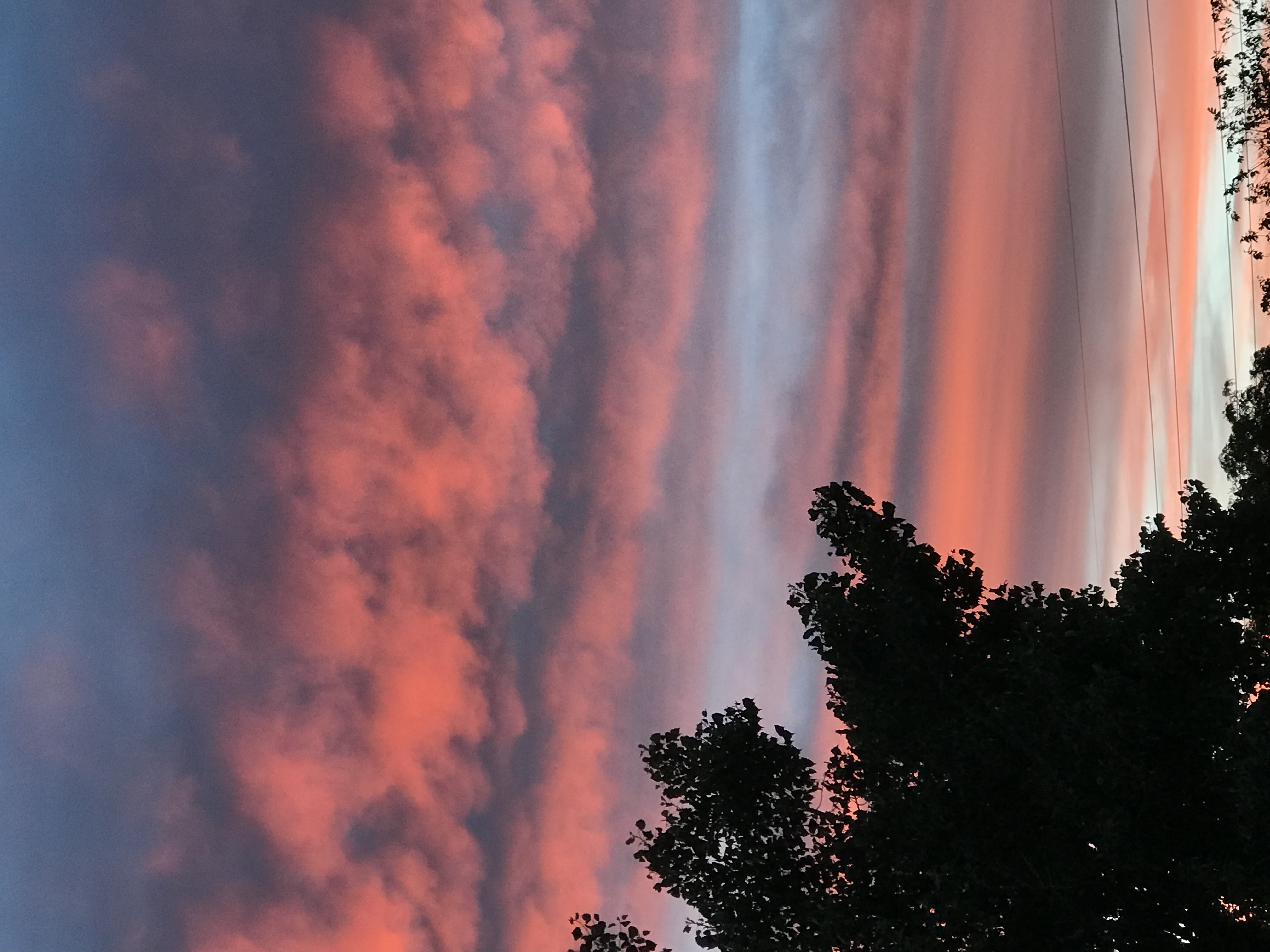 Hey Pandas!! Edit This Photo