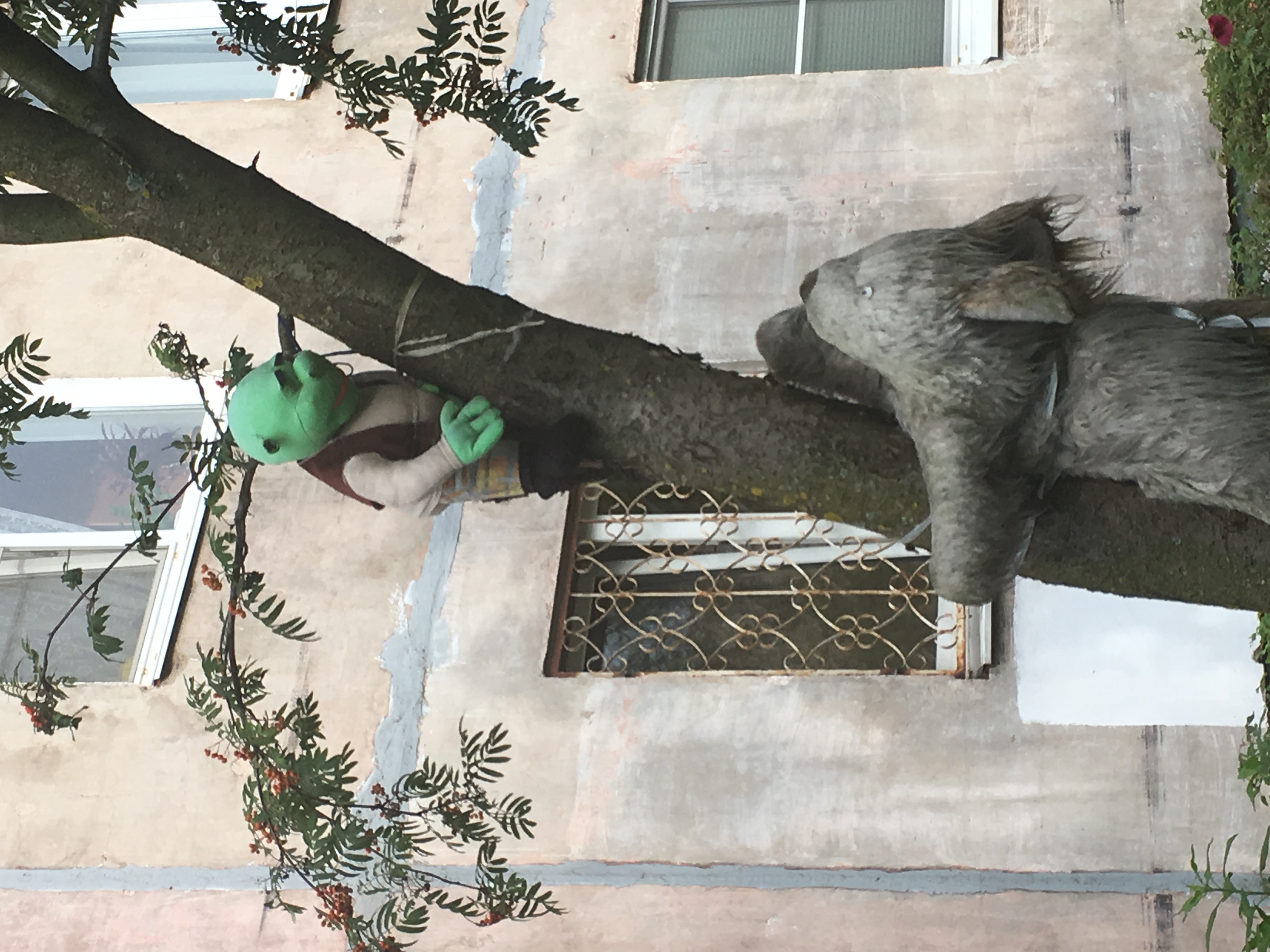 Hey Pandas, Post A Cursed Picture You Took