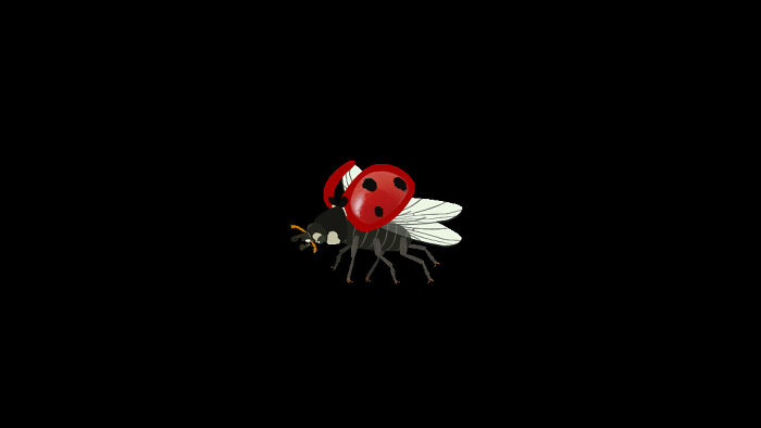 Mine Is A Ladybug