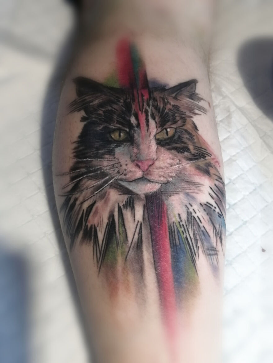 How Much Do People Love Cats? These Tattoos Show Examples Of That