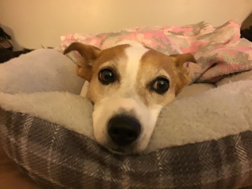 I Made This Rag Doll