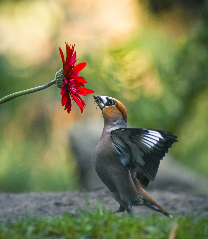 I Worked Together With A Talented Belgian Flower Artist And These Are My 15 Best Shots
