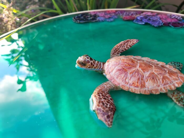 I Create Coffee Tables With Sculpted And Finely Painted Marine Creatures And Corals (13 Pics)