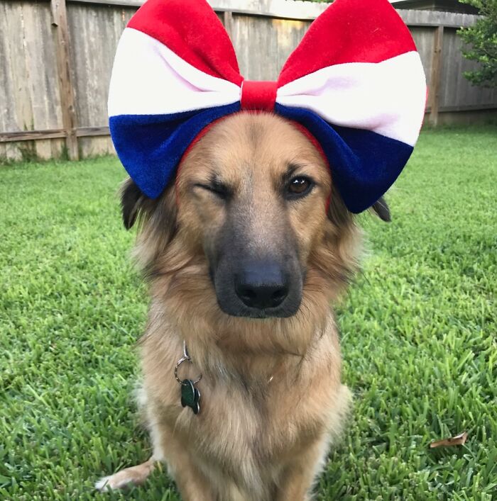 Here's Lookin' At You, Kid! 😉