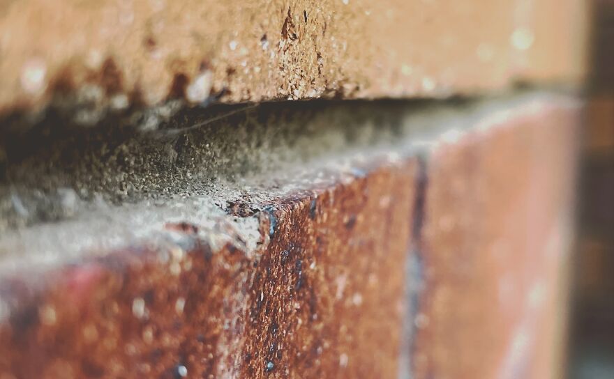 I'm An Amateur Photographer And Here Are My 18 Most Recent Photos