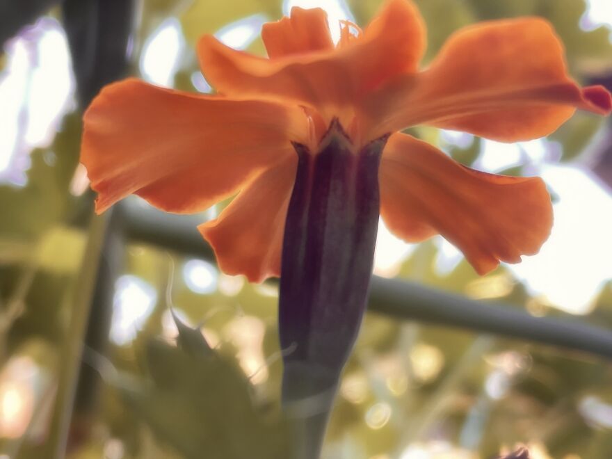 I'm An Amateur Photographer And Here Are My 18 Most Recent Photos