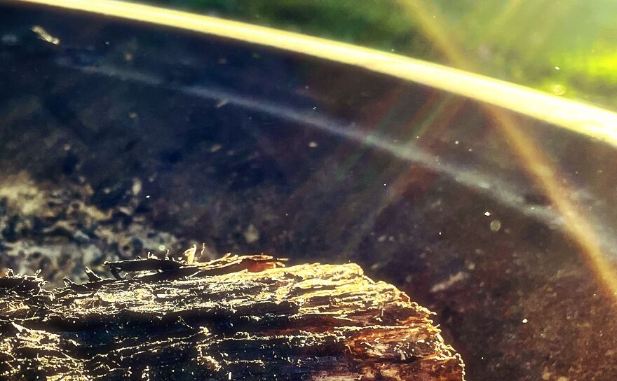 I'm An Amateur Photographer And Here Are My 18 Most Recent Photos