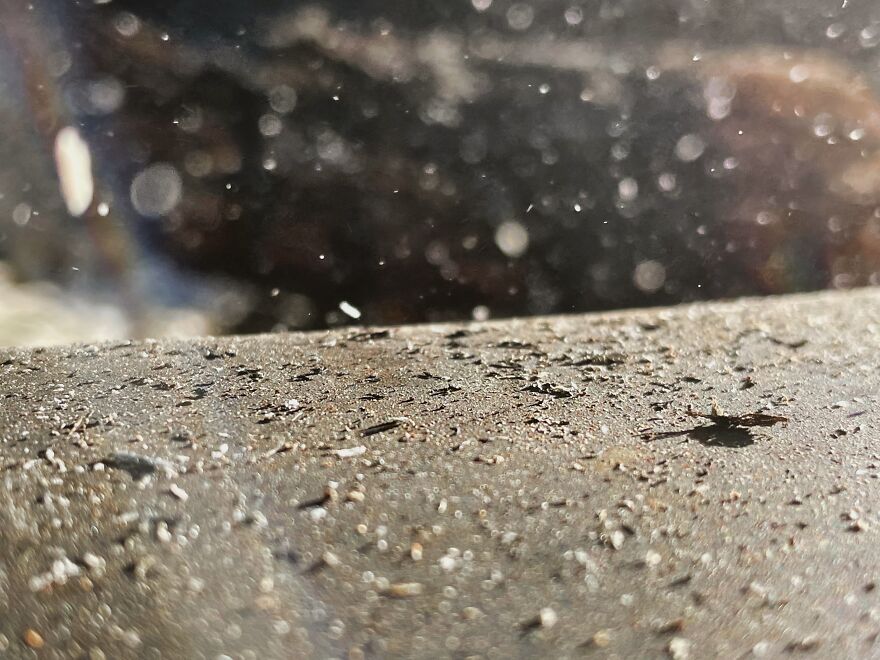 I'm An Amateur Photographer And Here Are My 18 Most Recent Photos