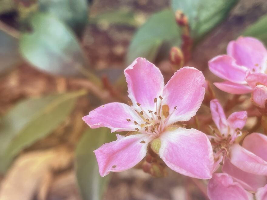 I'm An Amateur Photographer And Here Are My 18 Most Recent Photos