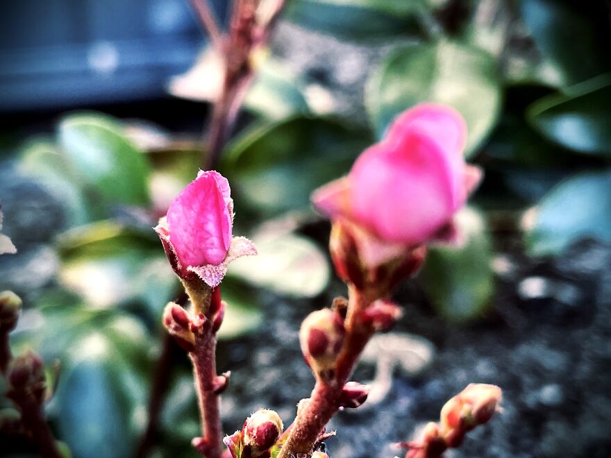 I'm An Amateur Photographer And Here Are My 18 Most Recent Photos