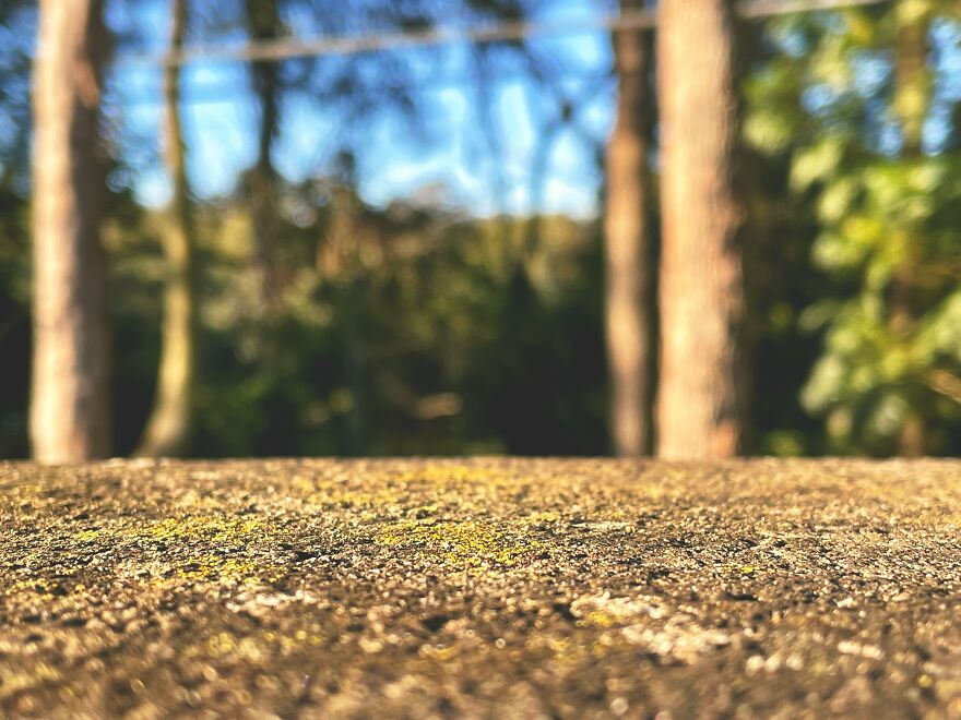 I'm An Amateur Photographer And Here Are My 18 Most Recent Photos