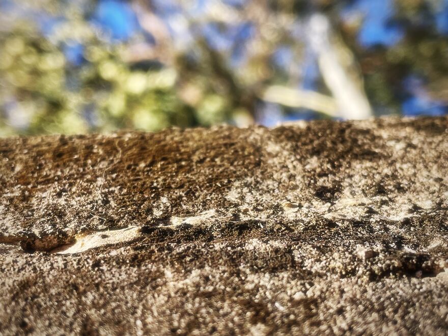 I'm An Amateur Photographer And Here Are My 18 Most Recent Photos