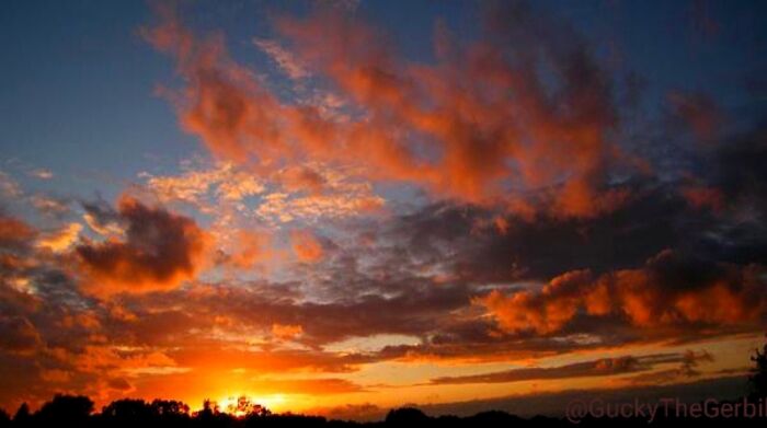 Cloudy Winter Sunset