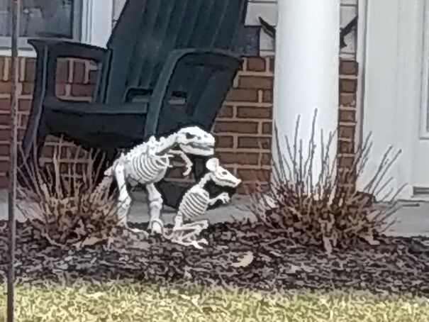 My Neighbor Thinks Gnomes Are Boring