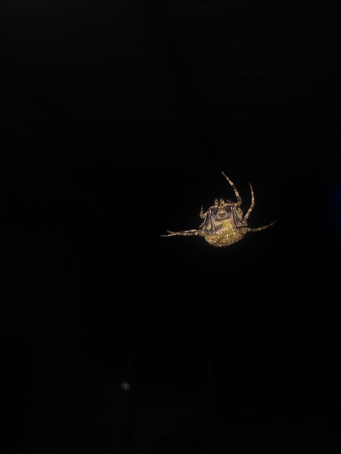 Why All The Humans Walk Upside-Down!