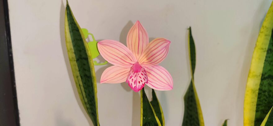 My Paper-Craft Orchid Designs