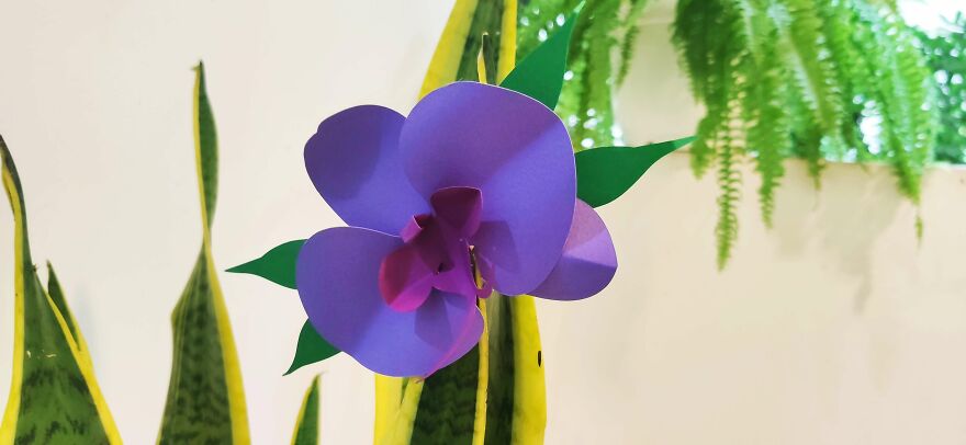 My Paper-Craft Orchid Designs My Paper-Craft Orchid Designs