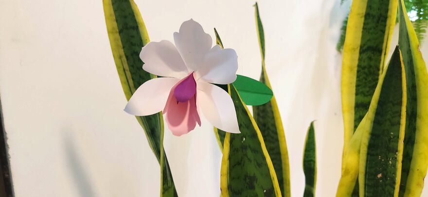 My Paper-Craft Orchid Designs